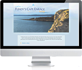 website design moncton